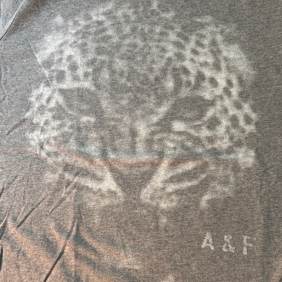 Abercrombie & Fitch Other - Abercrombie & Fitch Leopard Gray Graphic T-Shirt